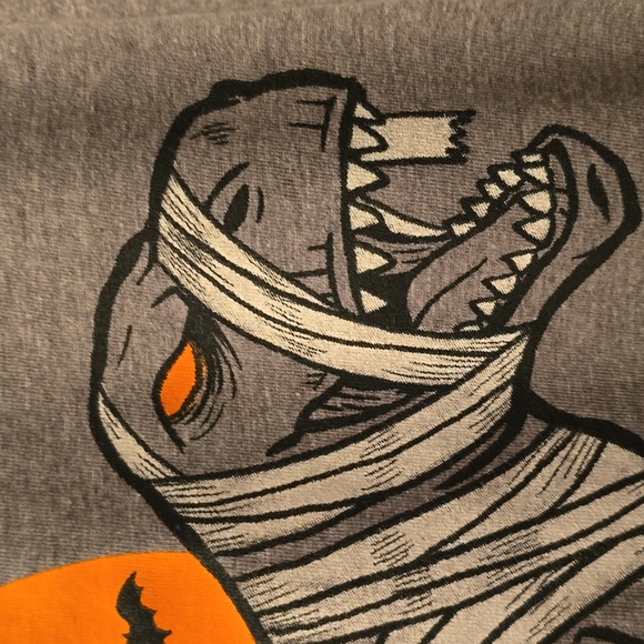 THEREABOUTS BOYS GRAY HALLOWEEN DINOSAUR SHORT SLEEVE TEE-SHIRT SIZE LARGE 14/16 - Picture 8 of 10
